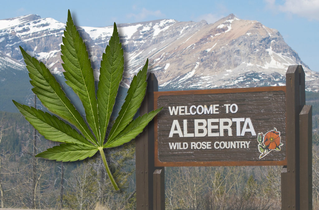 cannabis-laws-in-alberta-what-you-need-to-know